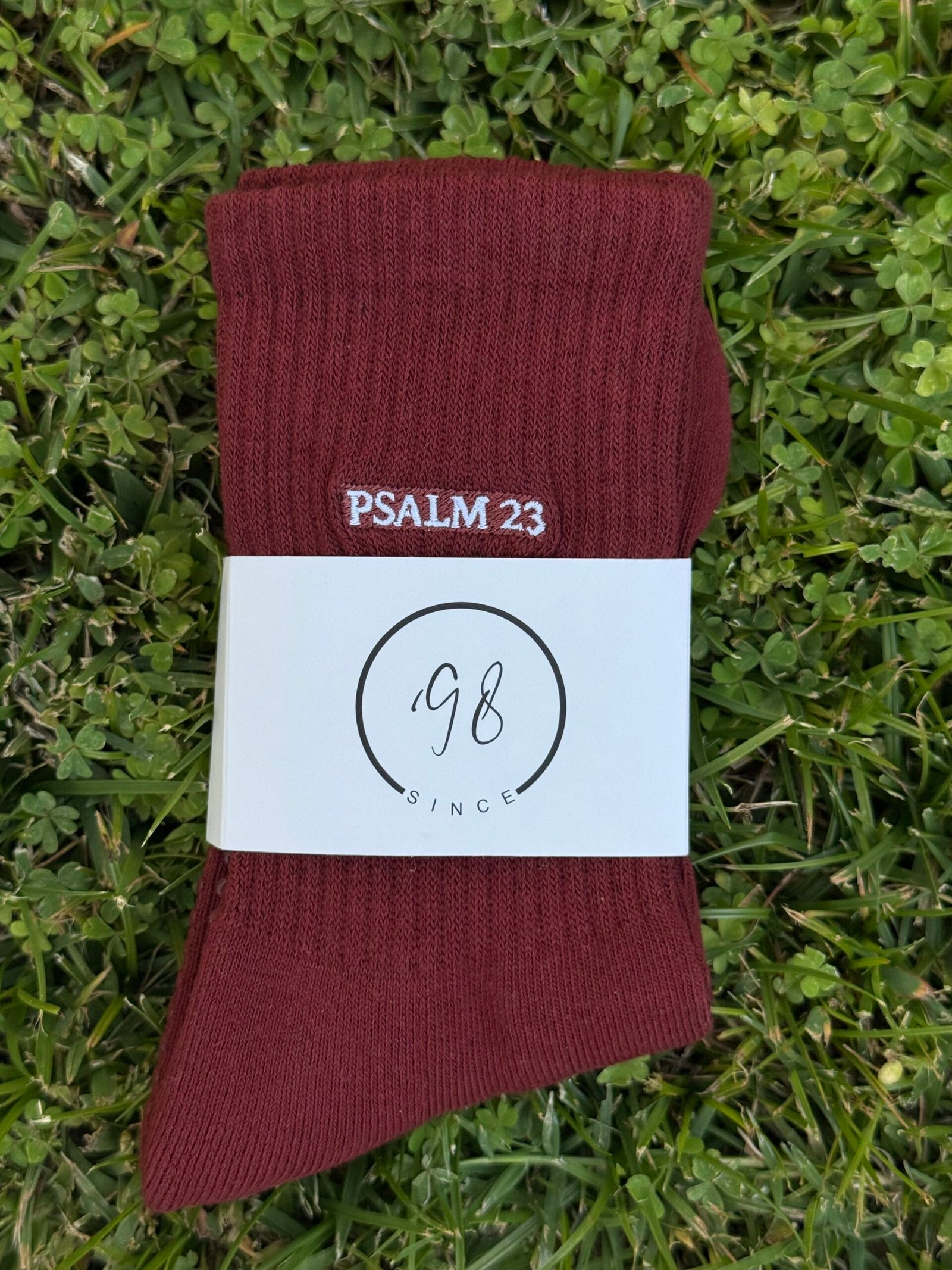 Psalm 23 — The Shepherd’s Peace